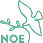 tvnoe